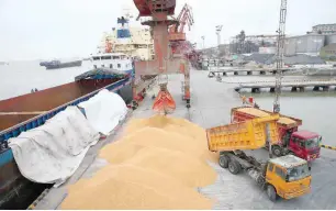  ??  ?? Workers load imported soybeans onto trucks at a port in Nantong in China’s eastern Jiangsu province. — AFP