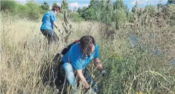  ??  ?? Voluntaris de “la Caixa” realitzen tasques
per preservar l'entorn