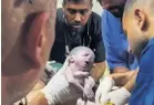  ?? ?? ▲ A medic at the Kuwaiti hospital in Rafah holds the newborn baby