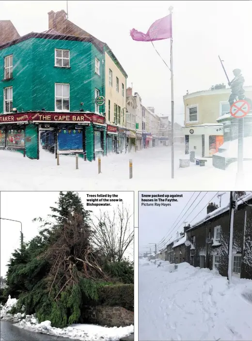  ?? Picture: Ray Hayes ?? Trees felled by the weight of the snow in Bishopswat­er. Snow packed up against houses in The Faythe.