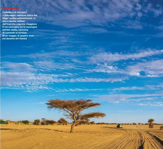  ??  ?? CAMMELLI E SOLDATI Il paesaggio sabbioso tipico del Niger centro-settentrio­nale. In alto a destra, militari dell’esercito nigerino viaggiano in un convoglio tra le montagne dell’Aïr. Sotto, carovana di cammelli al termine di un viaggio di quattro mesi...