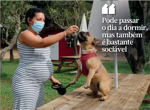  ??  ?? A cadelinha adora dar passeios e gastar energia, mas também gosta muito de descansar enquanto a dona trabalha