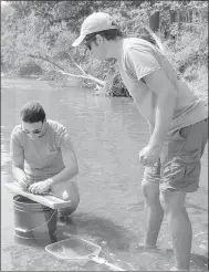  ?? Keith Bryant/The Weekly Vista ?? Shannon Brewer, associate professor at OSU Fisheries, left, implants a radio tracker in a smallmouth bass while Andrew Taylor, who just earned his Ph.D in fisheries and aquatic ecology from OSU, stands by.