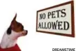  ?? DREAMSTIME ?? If a ban on pets is in the condo’s declaratio­n, it’s valid. If it’s in a rule, you don’t have to evict your animal, Gerry Hyman writes.