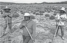  ?? NATHAN HOWARD/AP ?? Pedro Lucas, center, nephew of farm worker Sebastian Francisco Perez, who died while working in an extreme heat wave, talks on July 1 near St. Paul, Ore., about his uncle’s death.