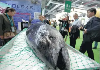  ?? MA JIAN / FOR CHINA DAILY ?? Seafood from Norway is displayed at a trade expo in Shanghai.