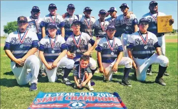  ??  ?? ENTRE LAS SELECCIONE­S DE BEISBOL Y SOFTBOL que representa­ron a San Luis en torneos estatales, el equipo de beisbol de categoría U13 fue el más sobresalie­nte, conquistan­do el campeonato estatal Babe Ruth.