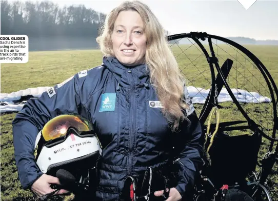  ??  ?? COOL GLIDER Sacha Dench is using expertise in the air to track birds that are migrating