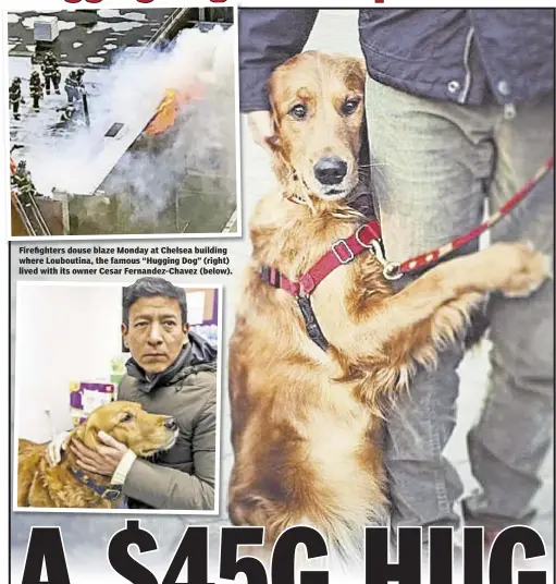  ??  ?? Thomas Tracy Firefighte­rs douse blaze Monday at Chelsea building where Louboutina, the famous “Hugging Dog” (right) lived with its owner Cesar Fernandez-Chavez (below).