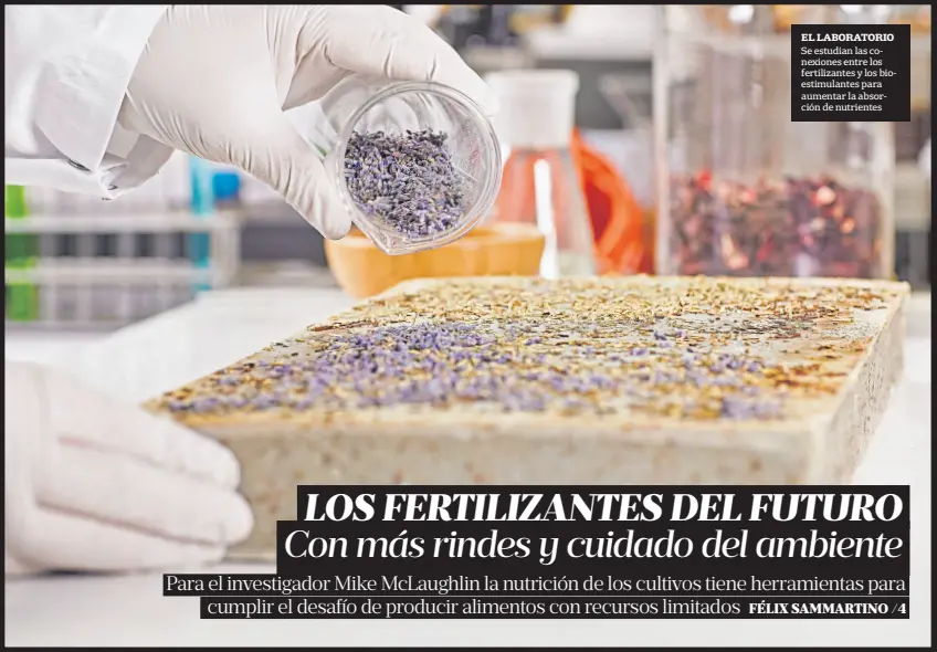  ?? Shuttersto­ck ?? el laboratori­o se estudian las conexiones entre los fertilizan­tes y los bioestimul­antes para aumentar la absorción de nutrientes