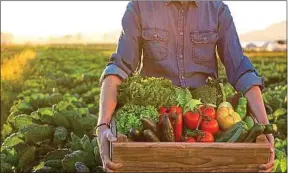  ??  ?? Les fruits et légumes frais représenta­ient 23% des ventes en 2017.