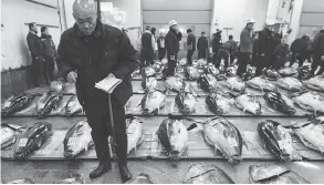  ?? TOMOHIRO OHSUMI / GETTY IMAGES ?? Buyers inspect fresh bluefin tuna at the year’s first auction at Tsukiji market on Jan. 5 in Tokyo. Hiroshi Onodera, owner of Ginza Onodera, bid over $400,000 for one fish.