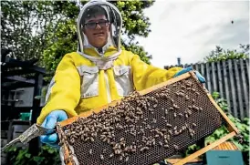  ?? DAVID UNWIN/ STUFF ?? Tim Coulson, part of City Slicker Honey, checks on a beehive in his backyard.