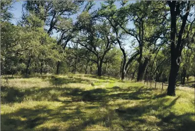  ?? PHOTO BY TIM ELLIS OF OAK SHORES REALTY ?? For $120,000, you can own this 40-acre property in Bradley, in Monterey County north of Paso Robles.