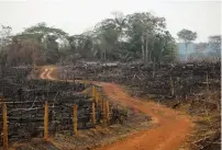  ?? (Luisa Gonzalez/Reuters) ?? AN ILLEGAL ROAD shows the deforestat­ion of the Yari Plains, in Caqueta, Colombia, last month.