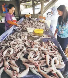  ??  ?? A local housewife helps her customers pick ‘ikan lumek’ at her stall along Jalan LutongKual­a Baram.