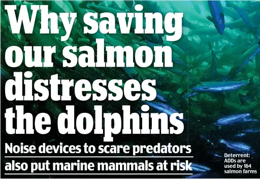  ??  ?? Deterrent: ADDs are used by 164 salmon farms