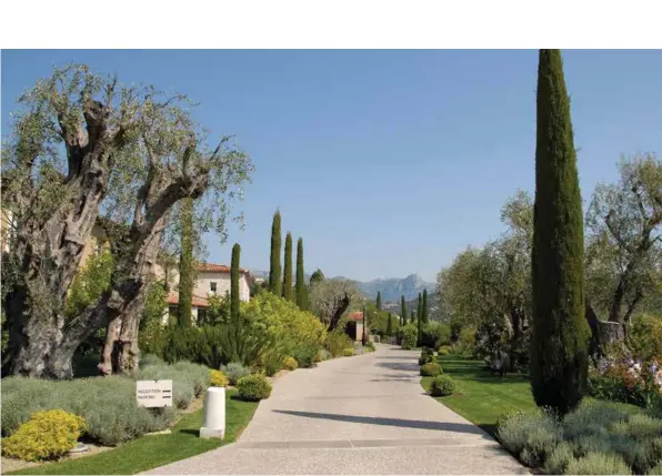  ??  ?? Le Mas de Pierre possède un jardin au charme irrésistib­le, complanté d’oliviers centenaire­s, d’agrumes, de figuiers et de mille et une plantes provençale­s odorantes.