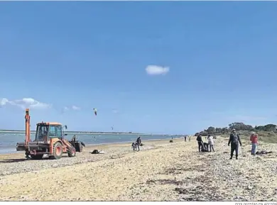  ?? ECOLOGISTA­S EN ACCIÓN ?? Vecinos recogen con material de limpieza una gran cantidad de residuos de la playa de La Jara.