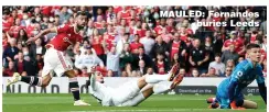  ??  ?? MAULED: Fernandes buries Leeds