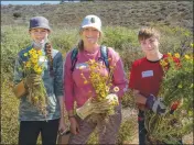  ?? COURTESY OF PALOS VERDES PENINSULA LAND CONSERVANC­Y ?? The Palos Verdes Peninsula Land Conservanc­y is asking volunteers to help care for its native garden April 20. The gathering will include nature walks and a raffle.