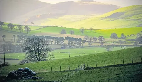  ?? Picture: Shuttersto­ck. ?? Land sold for tree planting in 2019 was 32% over asking price.