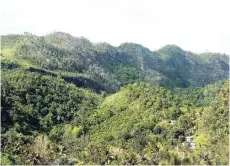  ??  ?? An expansive view of Jamaica’s biodiversi­ty-rich Cockpit Country.