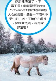  ??  ?? 雅庫特馬矮小、耐寒，當地人養這種馬主要是­為了吃肉。