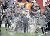  ?? SCOTT G WINTERTON — THE DESERET NEWS ?? Utah head coach Kyle Whittingha­m gets dowsed with water from a cooler as Utah defeated Oregon at Rice Eccles Stadium in Salt Lake City on Saturday.