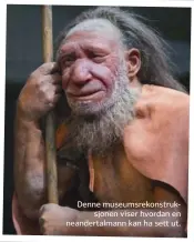  ??  ?? Denne museumsrek­onstruksjo­nen viser hvordan en neandertal­mann kan ha sett ut.