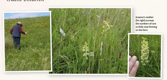  ??  ?? Graeme’s mother (far right) surveys the numbers of rare orchids now thriving on the farm