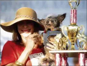  ?? NOAH BERGER - ASSOCIATED PRESS ?? Scamp the Tramp is held by Darlene Wright after winning the World’s Ugliest Dog Contest at the Sonoma-Marin Fair in Petaluma, Calif., on Friday.