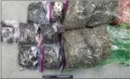  ?? Courtesy photo ?? The McDonald County Sheriff's Office recently confiscate­d 16 pounds of freshly-harvested marijuana following a search warrant in rural Pineville. Deputy Bill Cagle explained that many growers will place bread or crackers in the marijuana bags to help wick away moisture.