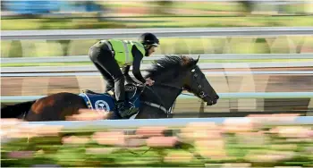  ?? GETTY IMAGES ?? Outstandin­g Kiwi stayer The Chosen one will have the final race of his career today at Eagle Farm in the Group II Q22.