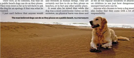  ??  ?? The man believed dogs can do as they please on a public beach. FILE PHOTOGRAPH