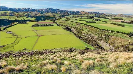  ??  ?? The 1290 hectare farm Stone Jug is one of the largest deer farms in Canterbury, supporting about 11,500 stock units.