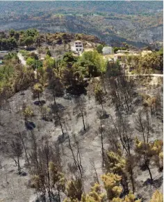  ?? ?? Το Εθνικό Σχέδιο Αναδάσωσης των καμένων περιοχών είναι προϋπολογι­σμού 248 εκατ. ευρώ και είναι ένα από τα 48 επιπλέον έργα που εντάχθηκαν στο «Ελλάδα 2.0».