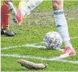  ?? FOTO: TWITTER ?? Kopenhagen-Spieler Augustinss­on kickt die Ratte weg, die Fans aufs Spielfeld warfen.