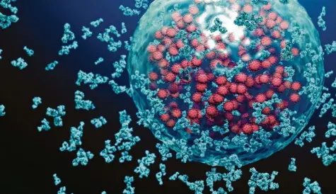  ?? Foto: Science Photo Library, Imago Images ?? Abwehrkamp­f gegen eine Corona‐Infektion in der Computersi­mulation: Antikörper (hellblau) greifen Coronavire­n (rot) an.