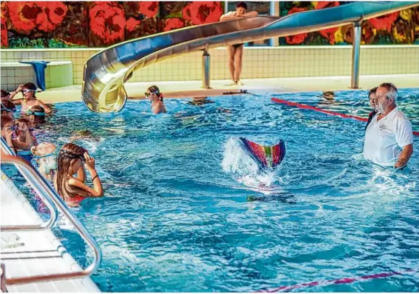 ?? Foto: Rudi Penk ?? Nicht nur beim Meerjungfr­auenschwim­men müssen Besucherin­nen und Besucher des Nattheimer Ramenstein­bads weiterhin eine kühlere Wassertemp­eratur in Kauf nehmen.
