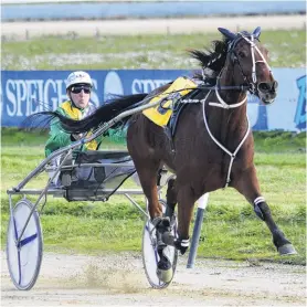  ?? PHOTO: JONNY TURNER ?? The name says it all . . . The Dominator turned around a run of disappoint­ing results by winning at Oamaru yesterday.