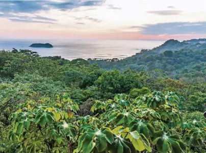  ?? FOTO: THINKSTOCK/SIMON DANNHAUER ?? Mehr als 350 Vogelarten leben im Nationalpa­rk Manuel Antonio an der mittleren Pazifikküs­te.