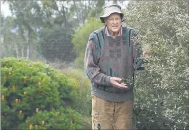  ??  ?? GREEN THUMB: Royce Raleigh, with his wife Jeanne, has converted an open paddock into a five-acre multiaward-winning garden, one of Victoria’s best native gardens. The Raleighs will open their property to the public to raise money for Wimmera Health Care Group Foundation. Picture: PAUL CARRACHER