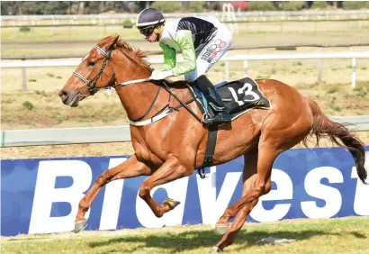  ?? Picture: JC Photograph­ics ?? FANCIED. Seven Seas, a ride for Muzi Yeni in the Internatio­nal Jockeys’ Challenge, is strongly fancied by trainer Ashley Fortune to win Race 6 at Turffontei­n tomorrow.