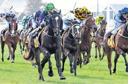  ?? PHOTO: PETER RUBERY, RACE IMAGES ?? On their way . . . Back In A Flash and Andrew Calder stride to the lead in the inaugural Taranaki Challenge at New Plymouth on Saturday.