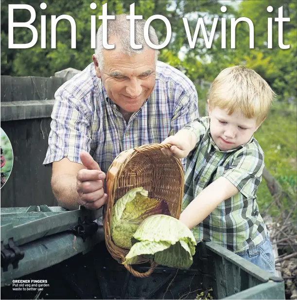 ??  ?? GREENER FINGERS Put old veg and garden waste to better use 66738, mirroroffe­rs.co.uk/leafvac