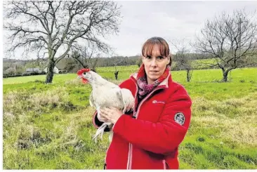  ?? Agnès ESTEVES DA SILVA ?? CÔTES-D’ARMOR. Vanessa Flandre avec l’une de ses poules de races en voie d’extinction, ici une Espagnole à face blanche.