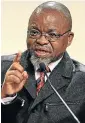  ??  ?? Gwede Mantashe