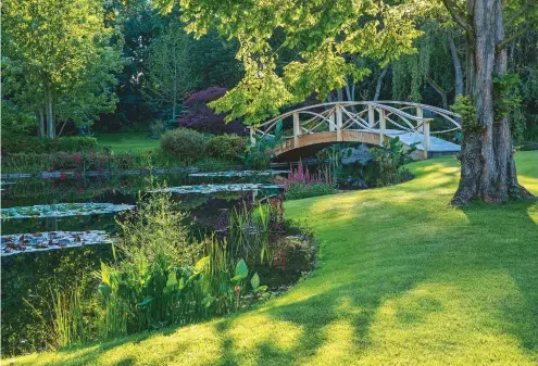  ??  ?? LEFT
Standard pleached hornbeams and clipped cross-hatched box hedges frame the parterre, with purple Nepeta racemosa ‘Walker’s Low’ and fragrant Thymus
used to edge the path. camphoratu­s BELOW LEFT
In the topiary garden of sculptural yew, densely...