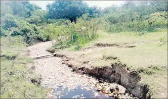  ??  ?? A mediados de octubre de este año se denunció a través de redes sociales la mortandad masiva de peces en el río Confuso.